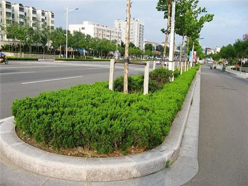 黄锈石光面